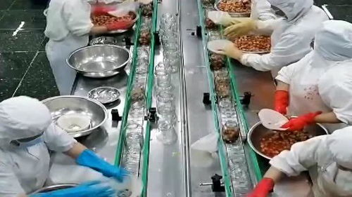 罐頭水果 健康與否，解碼食品廠的“魔法”加工過程