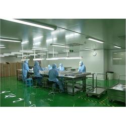 道滘偉一食品廠千級無塵車間凈化室 守護食品安全的潔凈堡壘